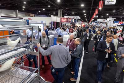 Exhibit Floor